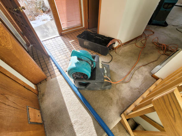 Best Flood damage cleanup  in Mount Holly Springs, PA