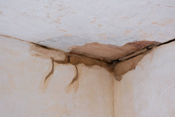 Best Water damage contractors near me  in Mount Holly Springs, PA