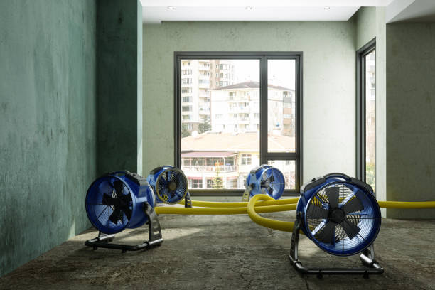 Best Sewage cleanup and water damage restoration  in Mount Holly Springs, PA